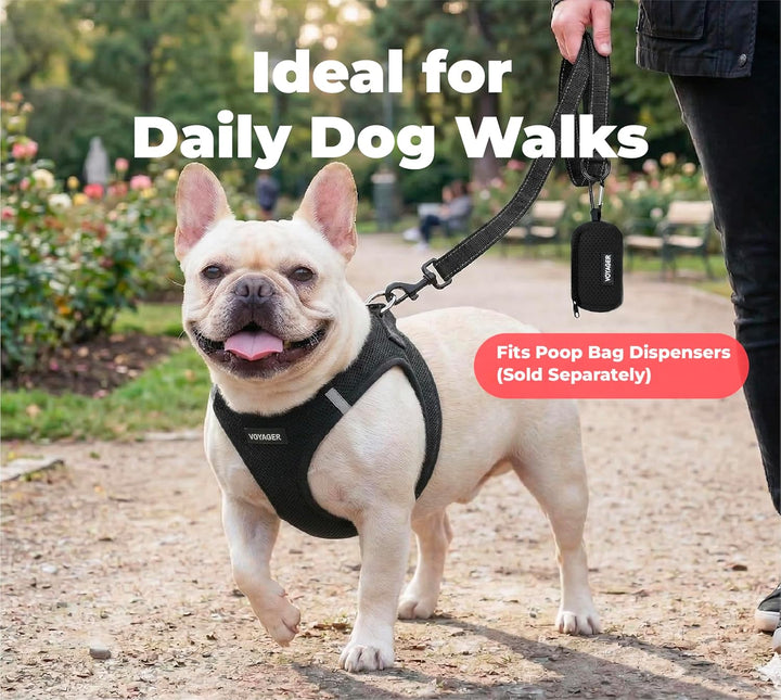 Voyager Reflektierende Hundeleine mit Neoprengriff, 1,8 m lang, unterstützt kleine, mittelgrosse und