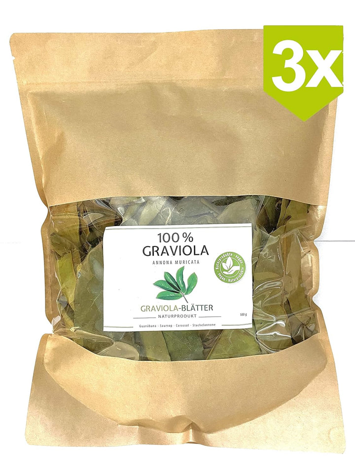 3 x 100g GRAVIOLA BLÄTTER / NEUE ERNTE. Wildsammlung. Naturbelassen & unbehandelt. Teefein. Soursop.