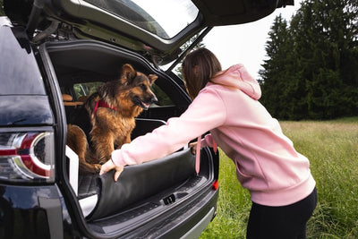 Autohundebett Reisebett Hundebett für Kofferraum Transportsystem 100x70cm (Farbe: schwarz, blau), sc