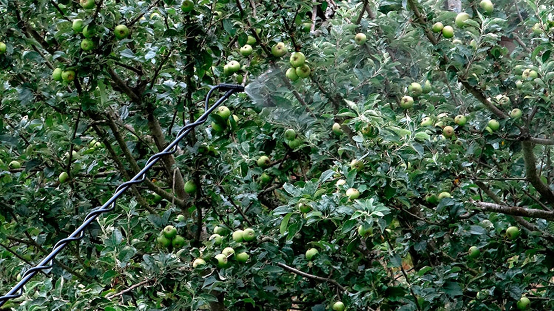 Teleskoplanze - Hohe Lanze - 3,2 m hoch - aus Fiberglas - passend für die meisten Sprühgeräte - idea