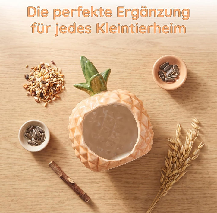 Toyvian Keramik Hamsterhaus, mit Kühlfunktion Gemütliches Versteck Zwerghamster Rennmäuse Chinchilla