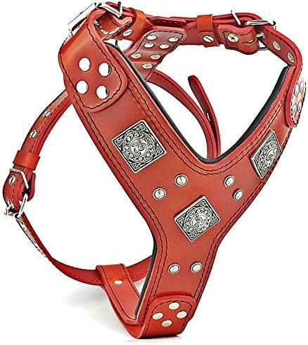 Bestia "EROS Leder Hundegeschirr in Rot & Schwarz L/XL- Amstaff / Dobermann, L/XL- Amstaff / Doberma
