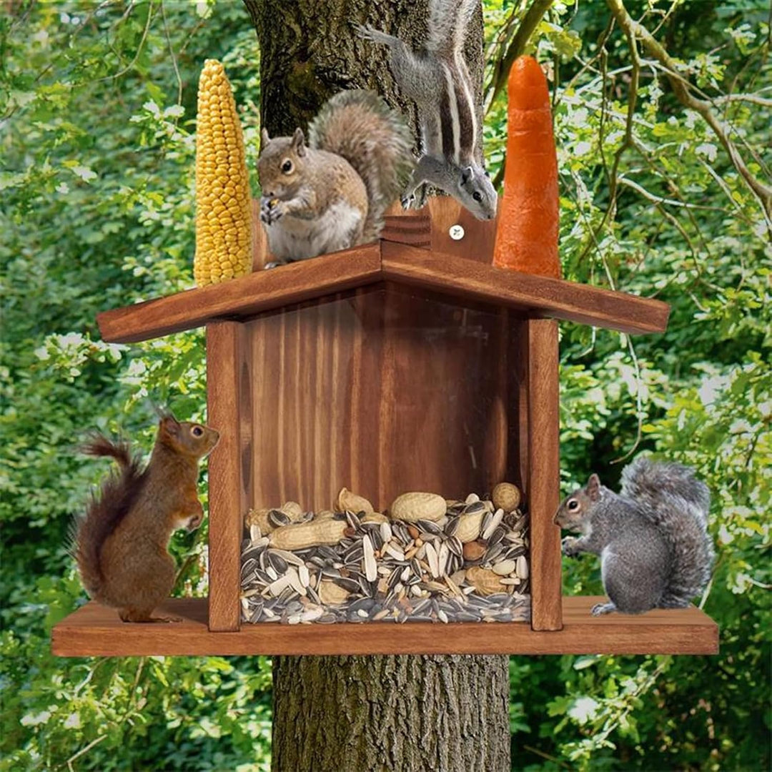 Eichhörnchenfutter, hölzerne Haus geformte Eichhörnchen -Futterhäuschen für aussen, sichtbare Vogelh