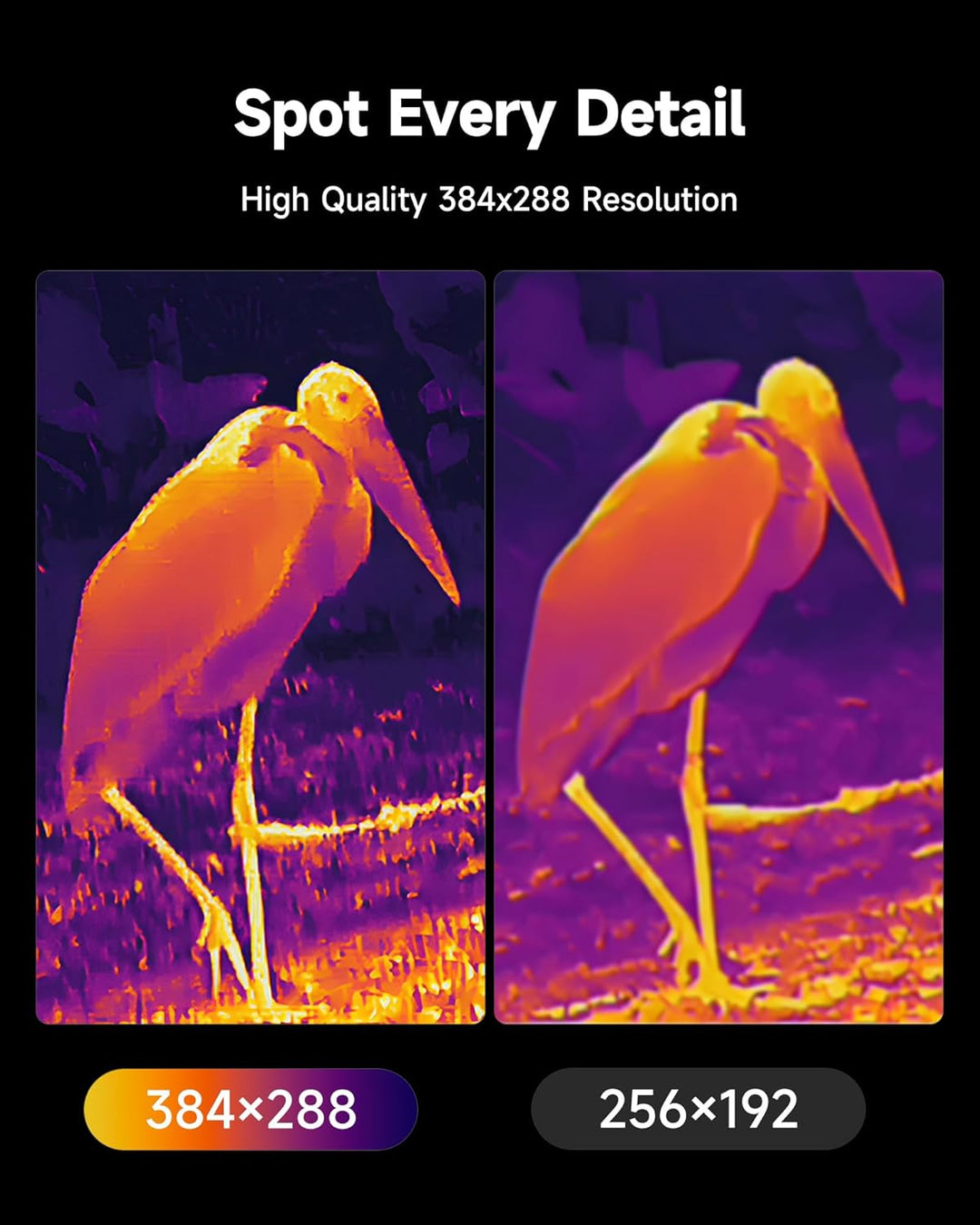 TOPDON wärmebildkamera Jagd TS004 Pro, 384 x 288 IR-Auflösung, 19mm Objektiv Wärmebild-Monokular, 50