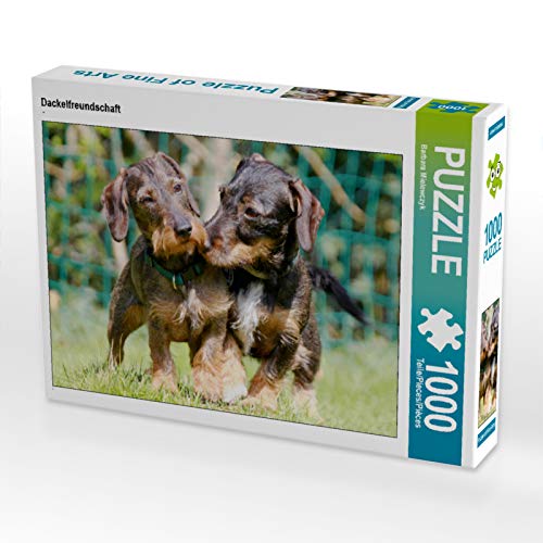 CALVENDO Puzzle Dackelfreundschaft 1000 Teile Lege-Grösse 64 x 48 cm Foto-Puzzle Bild von Barbara Mi