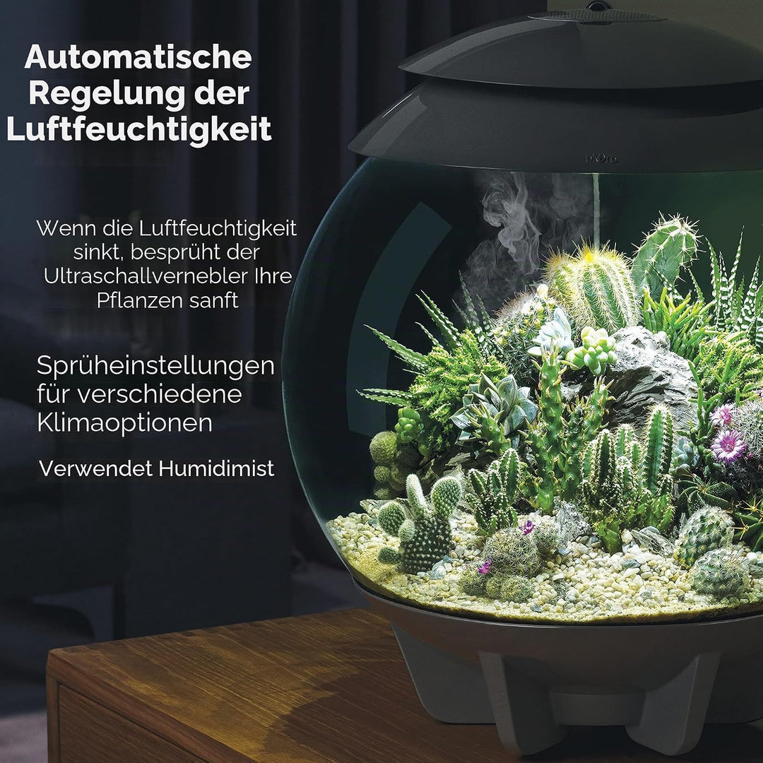 biOrb AIR 30 schwarz - Terrarium mit LED-Beleuchtung / Acryl-Becken zur Pflanzenpflege / für empfind
