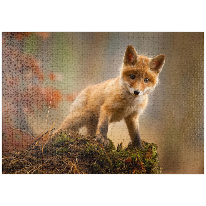 EIN junger, neugieriger Fuchs im Wald - Premium 1000 Teile Puzzle - MyPuzzle Sonderkollektion von Pu