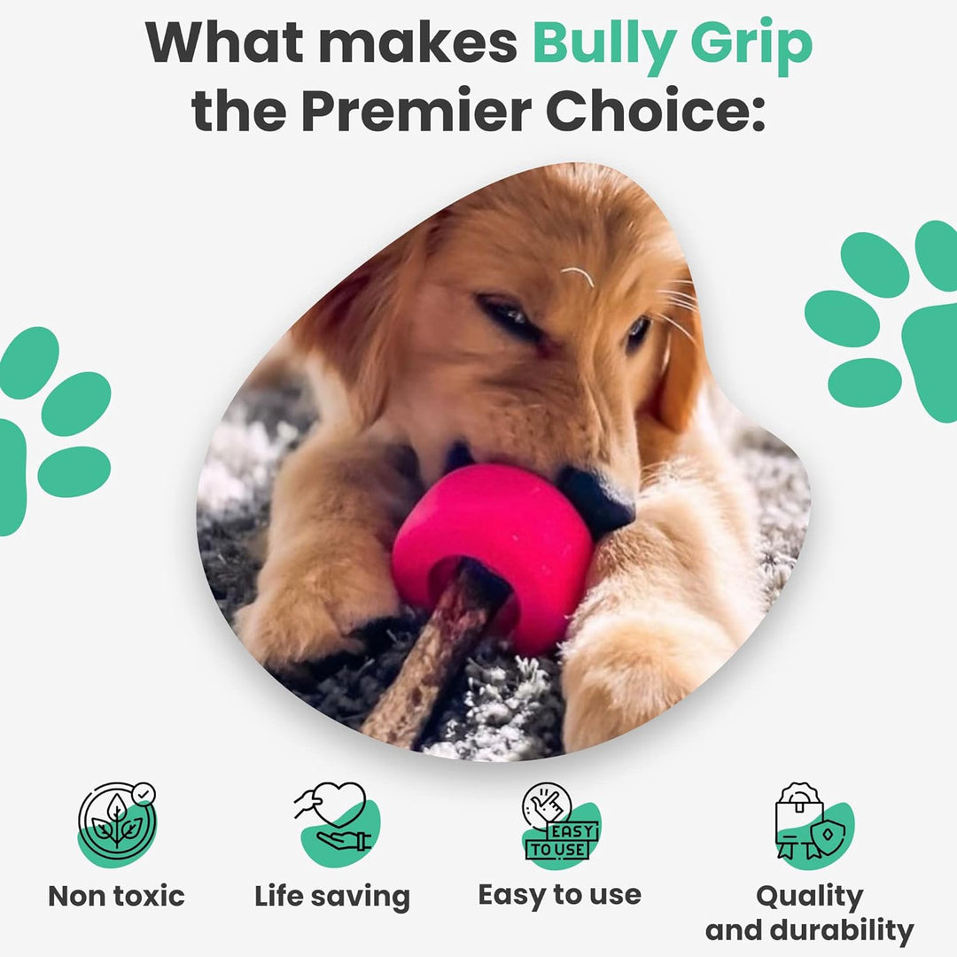 Bully Stick Halter - Grösse Klein Interaktives Hundespielzeug, Slow Feeder, Leckerli-Spender, Kauspi
