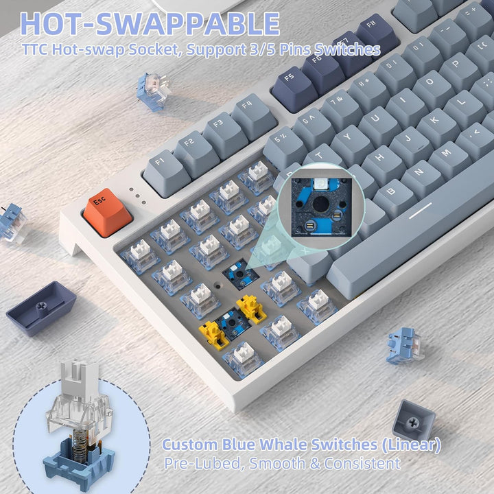 VGN GAMEPOWER RK86PRO Mechanische Gaming Tastatur Kabellos 75% Prozent TKL, 2,4G Wireless/Bluetooth/