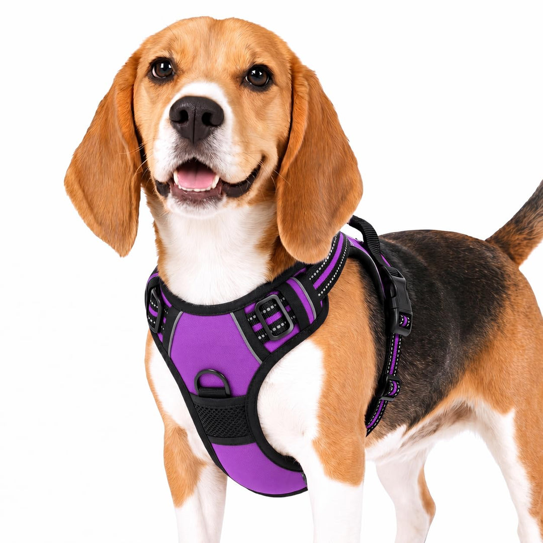 Funfox Hundegeschirr Mittelgrosse Hunde, Anti Zug Brustgeschirr Verstellbares Geschirr Hund, Antizie