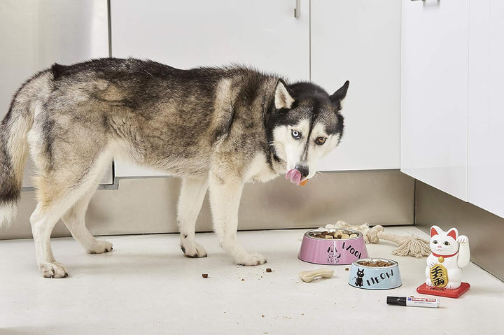 edding 500 Permanentmarker - gelb - 10 Stifte - Keil-Spitze 2-7 mm - wasserfest, schnell-trocknend -