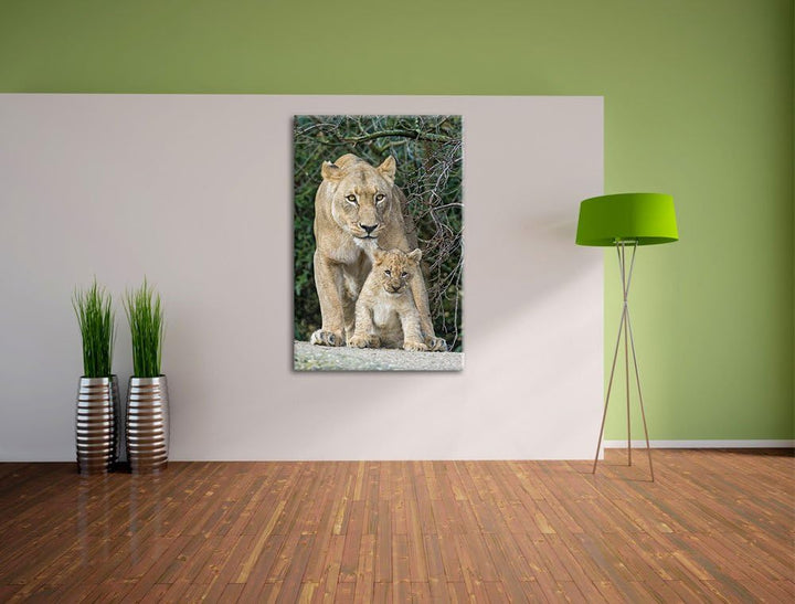 Pixxprint Löwin mit Jungtier auf Leinwand, XXL riesige Bilder fertig gerahmt mit Keilrahmen, Kunstdr