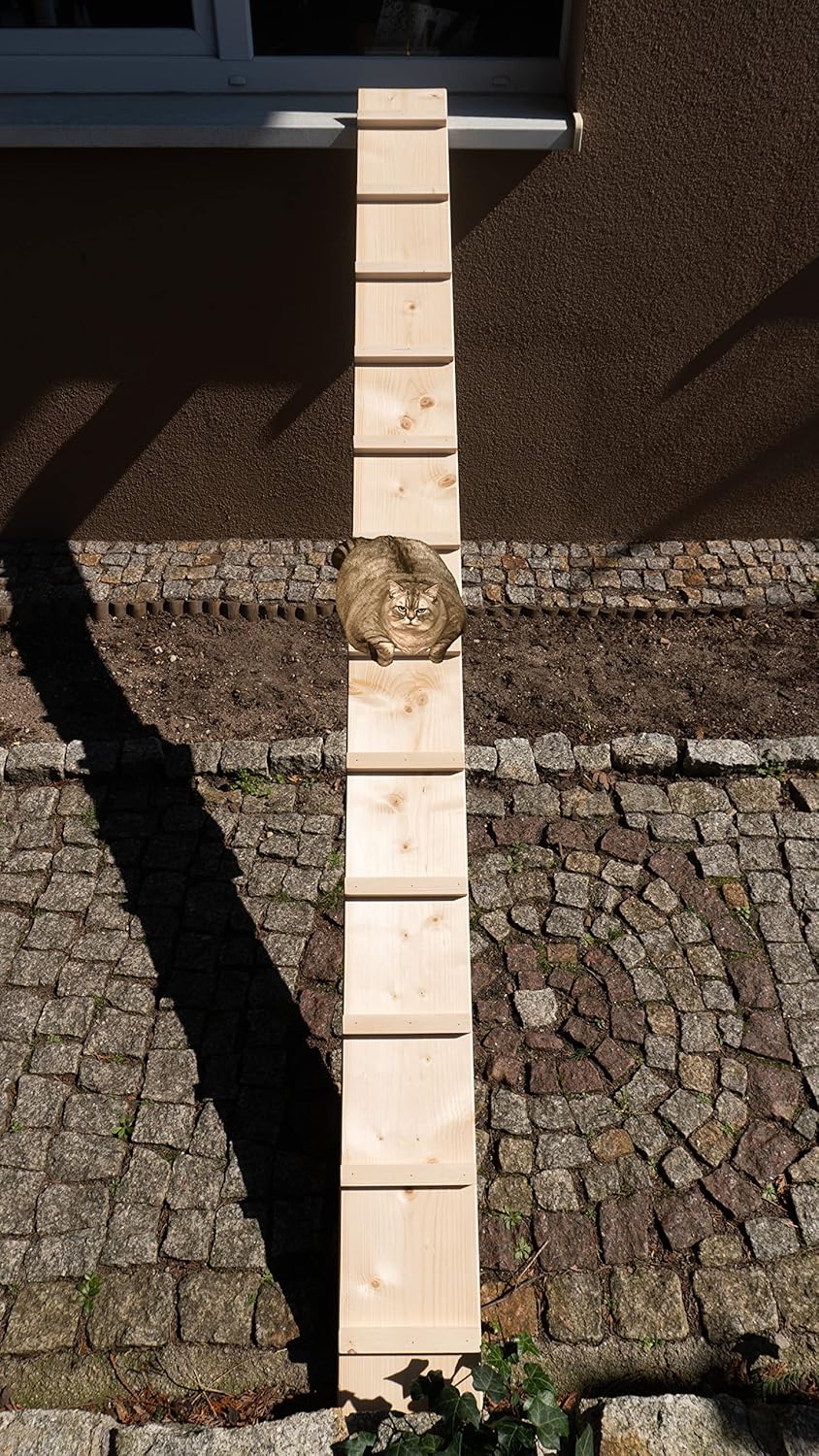 Katzenleiter Katzentreppe Katzenstufe für Balkon Treppe ohne Befestigung 2 m lang