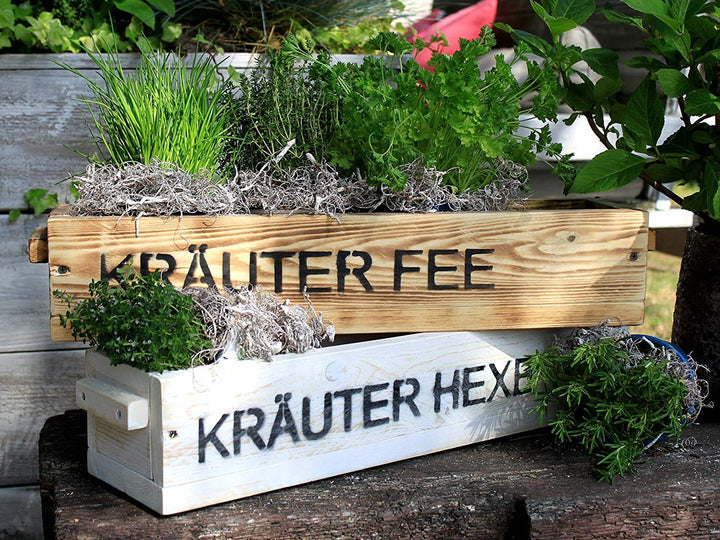 Dekorie Blumenkasten Pflanzkasten Massivholz Pflanzkiste Aufbewahrungskiste weiss oder geflammt Shab