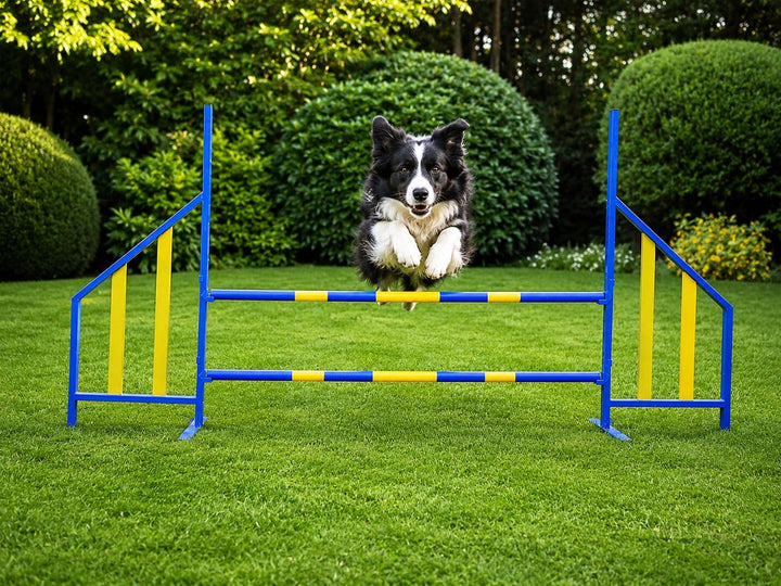 PROCYON Agility Hürde für Hunde Profi-Training-Set FCI konform Hürden Hundeport
