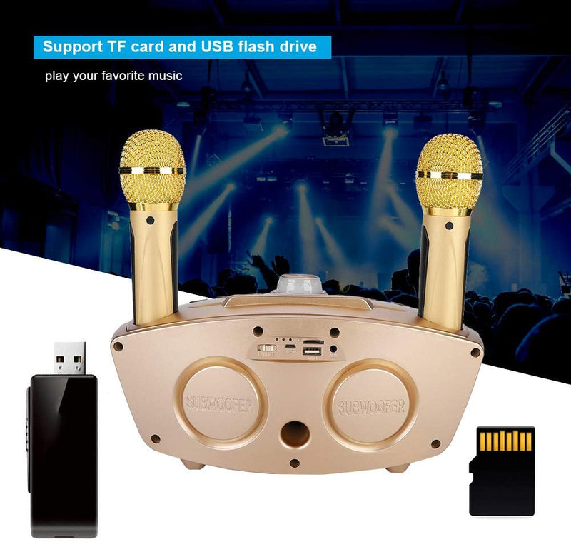 Annadue Karaoke Mikrofon zum Singen, Home Bluetooth Audio Karaokemaschine mit Zwei Mikrofonen, Tragb