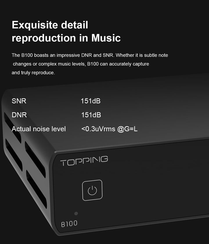 Topping B100 Reiner Mono-Leistungsverstärker - 100W Ausgangsleistung BAL/SE Eingang 3 Verstärkung 15