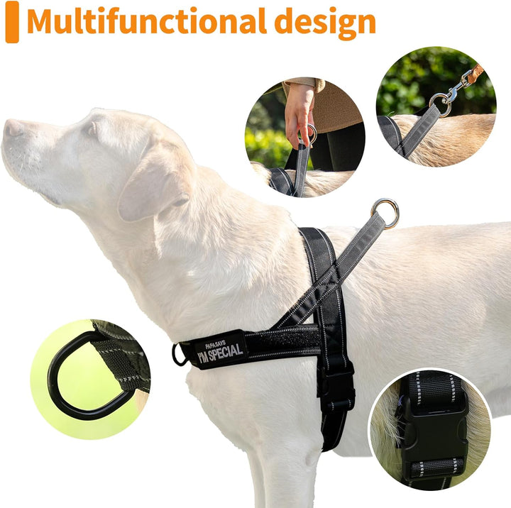 No Pull Hundegeschirr für kleine mittelgrosse Hunde, reflektierend ausbruchsicher verstellbar ohne Z