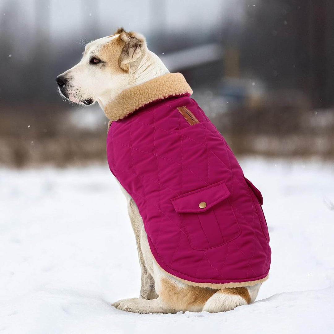 Wintermantel Hundemantel, Warme Winterjacken mit Fleece für Hunde,Hundejacke Hundekleidung Hundepull