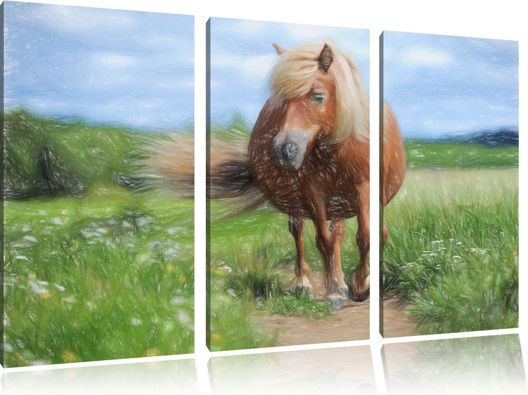Pixxprint Shetlandpony auf der Wiese Kunst Buntstift Effekt 3-Teiler Leinwandbild 120x80 Bild auf Le