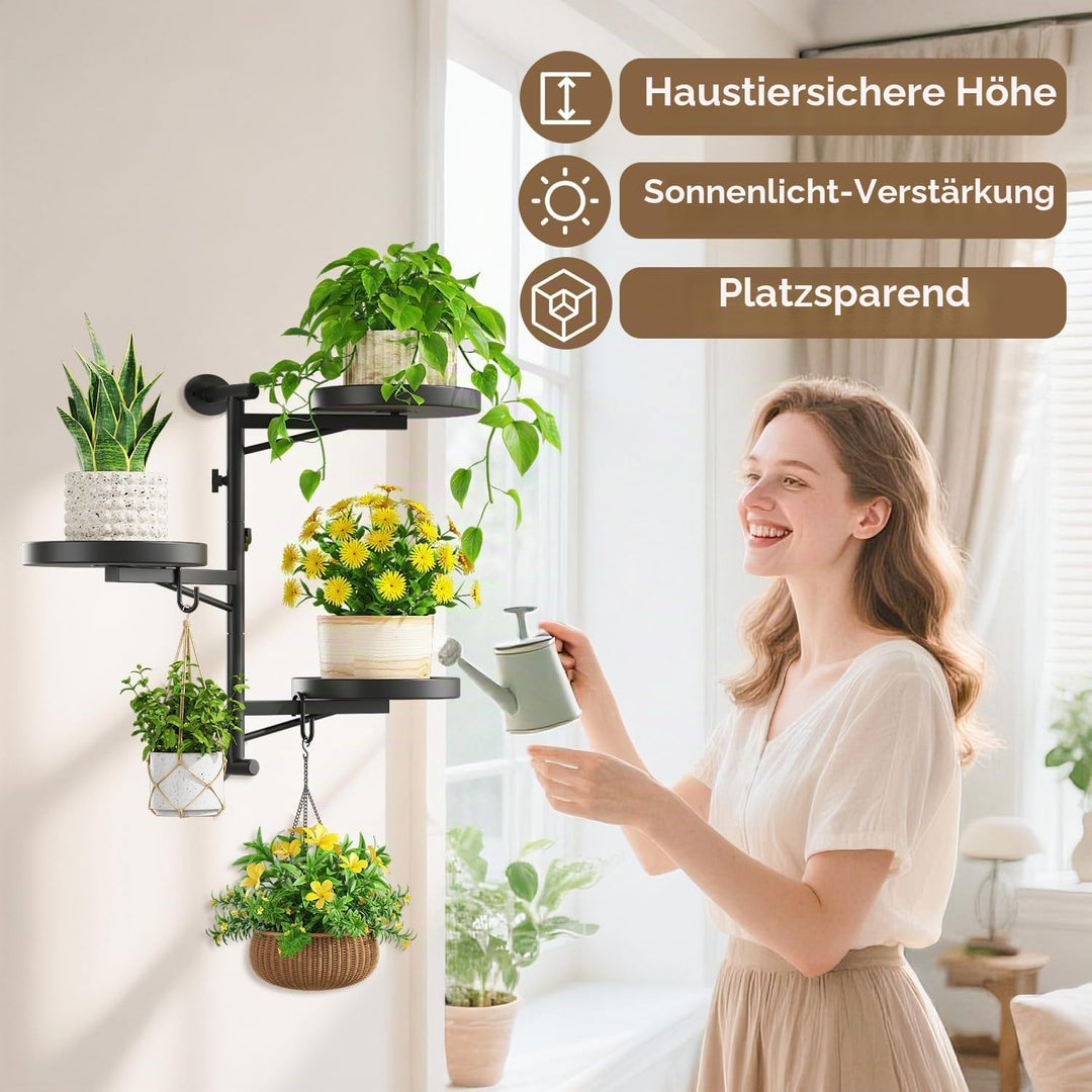 LASZOLA Rotierende Wandmontage Fenster Pflanzen Regale Indoor mit 2 Hängehaken, 3 Ebene schwebende M
