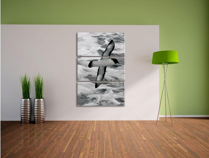 Pixxprint prächtige Möwe fliegt über Wasser 3-Teiler Leinwandbild 120x80 Bild auf Leinwand