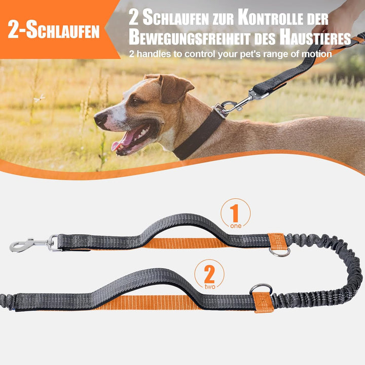 Snocyo Joggingleine Hunde, Jogging Hundeleine für Mittelgrosse und Grosse Hunde, Elastische und Refl