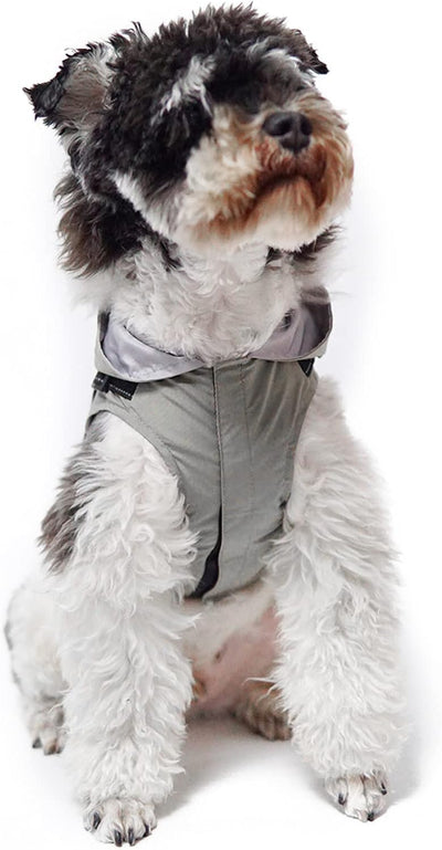 PETCUTE Hunde Regenmantel Regenjacke mit Geschirrl,Winddicht Wasserdichter Hundemantel mit Reflektie