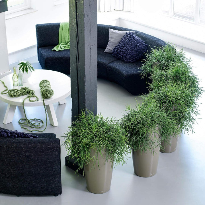 LECHUZA RONDO Premium 40 silber metallic 15748 50 Silber Metallic, 50 Silber Metallic