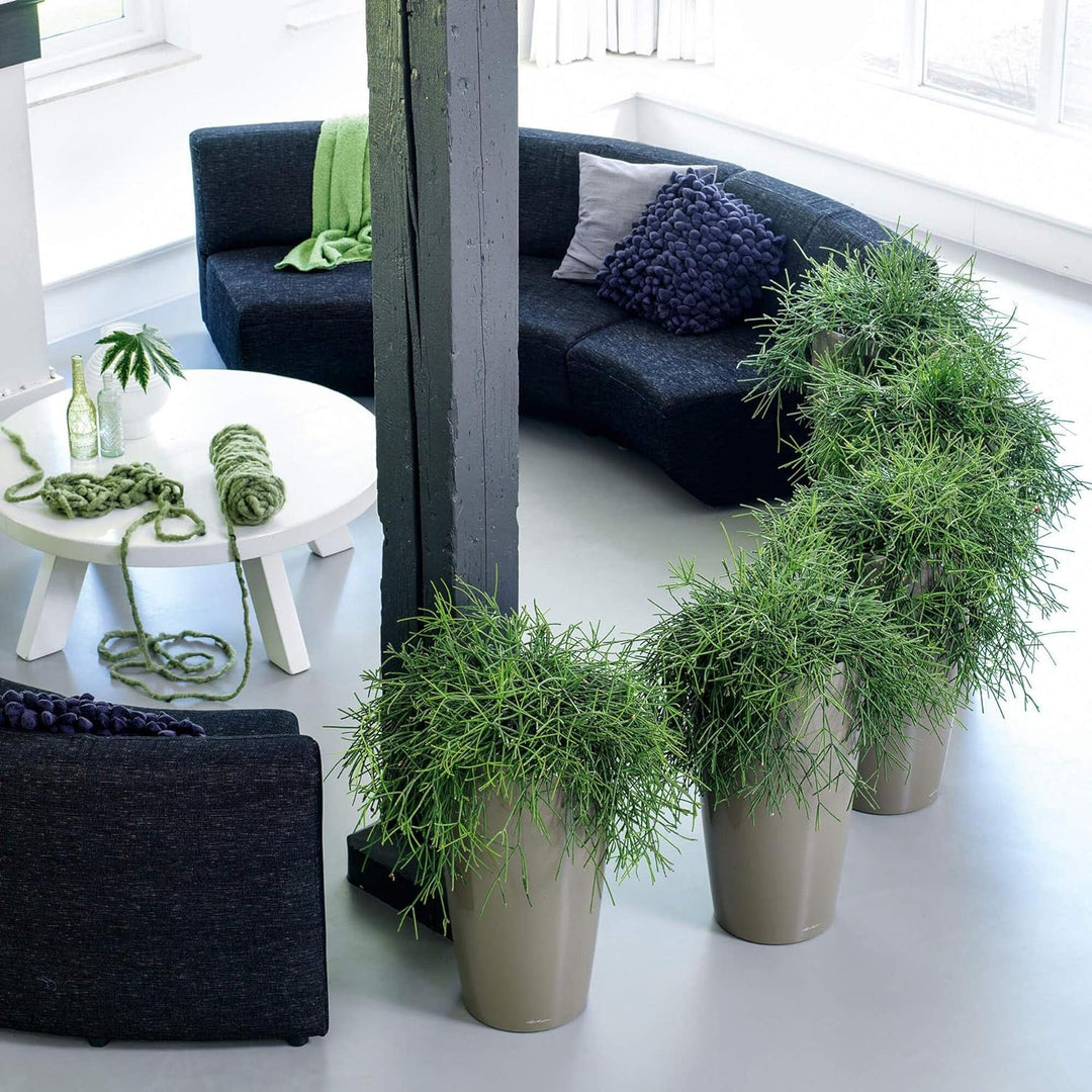 LECHUZA RONDO Premium 40, Scarlet Rot Hochglanz, Hochwertiger Kunststoff, Inkl. Bewässerungssystem,