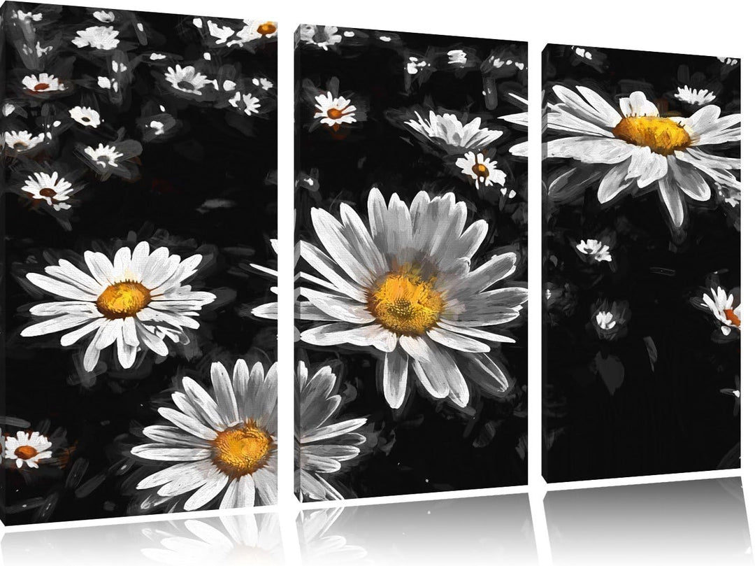 Dark viele kleine Margariten schwarz/weiss Deluxe 3-Teiler Leinwandbild 120x80 Bild auf Leinwand, XX