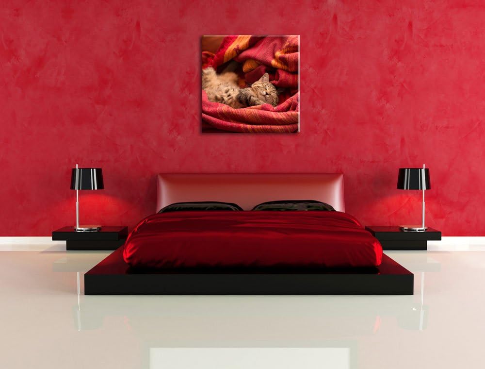 Pixxprint Babykatze, Format: 70x70 auf Leinwand, XXL riesige Bilder fertig gerahmt mit Keilrahmen, K
