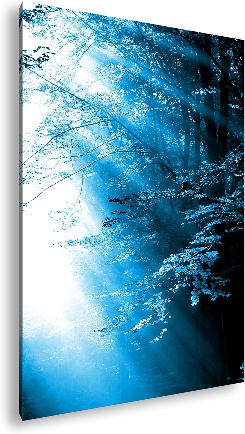 deyoli herbstlicher Wald mit Sonnenstrahlen Format 80x60 Effekt: Monocrome Blau als Leinwandbild, Mo