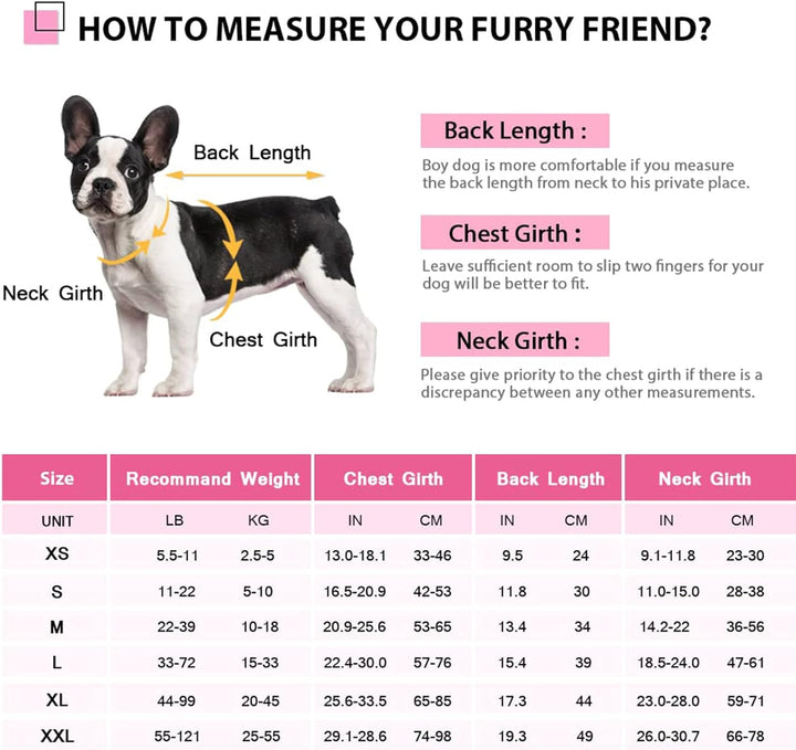 CITÉTOILE Schwimmweste Hunde Hai, Leicht und Sicher für Wassersport, hundeschwimmweste mit Griff und