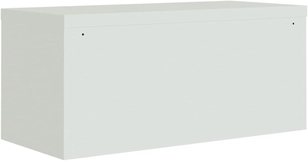 Cozynest Aktenschrank, Büroschrank mit Einlegeboden, Abschliessbar Metallschrank Schrank mit Türen,