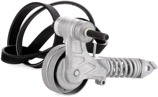 SKF VKMA35113 VKMA 35113 Spannrollensatz für Nebentrieb