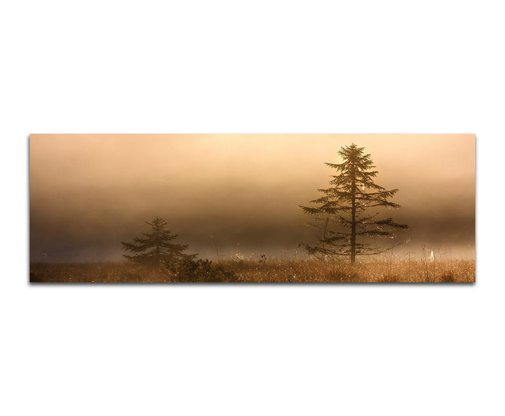 Paul Sinus Art Panoramabild auf Leinwand und Keilrahmen 150x50cm See Wiese Baum Nebel Dunst Morgengr