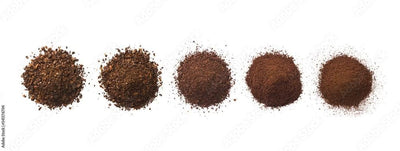 CASO BaristaChef Inox - elektrische Kaffeemühle, langlebiges Edelstahl-Kegelmahlwerk, mit Siebträger