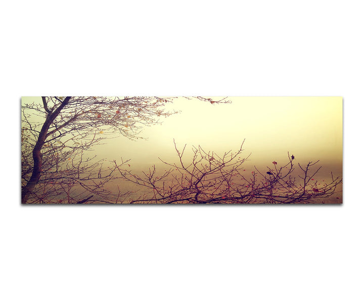 Paul Sinus Art Panoramabild auf Leinwand und Keilrahmen 150x50cm Herbst Bäume Äste Nebel Vintage