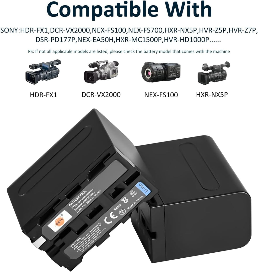 DSTE®（2 Pack）Ersatz Batterie und DC01E Reise Ladegerät Compatible für Sony NP-F970 CCD-SC55 CCD-SC65