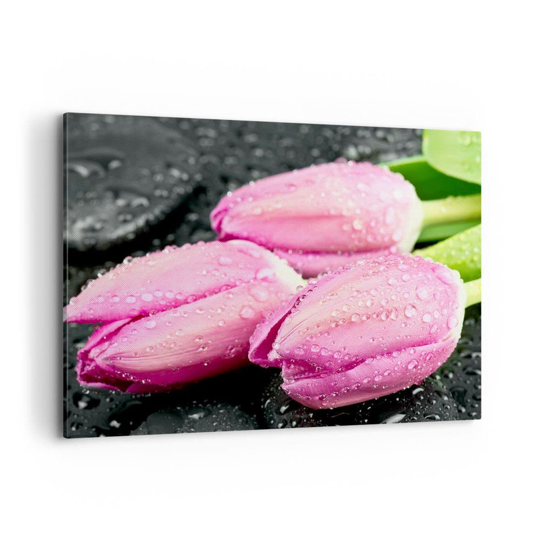 Bilder auf Leinwand 100x70cm Leinwandbild Tulpen Tau Steine Pflanze Gross Wanddeko Bild Schlafzimmer
