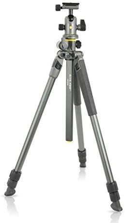 Vanguard Alta Pro 2+ 263AB 100 - Stativ mit Kugelkopf mit umklappbarer Mittelsäule, Kugel