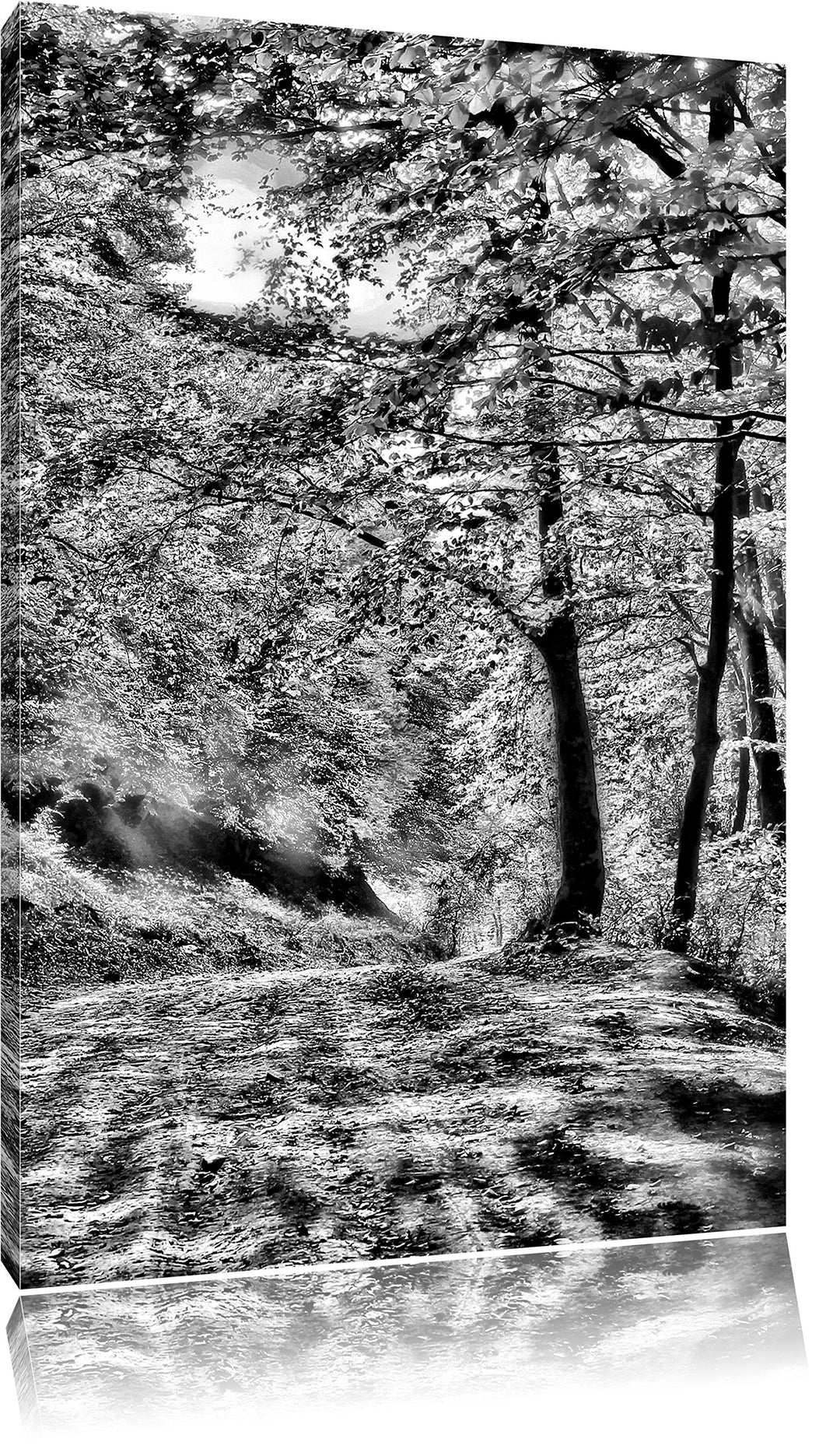Monocrome, Wald im Herbst, Format: 100x70 auf Leinwand, XXL riesige Bilder fertig gerahmt mit Keilra
