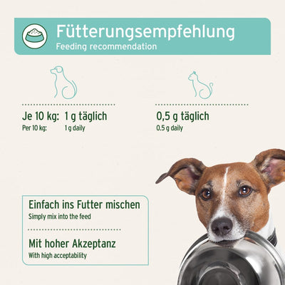 AniForte Denta Clean & Care Zahnpflege Pulver für Hunde & Katzen 300g – effektive & natürliche Zahnr