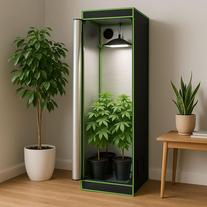 Weedness Dark Box Grow-Box für Indoor-Zucht 60x40x200 cm Propagator - Zuchtzelt Growschrank Growzelt