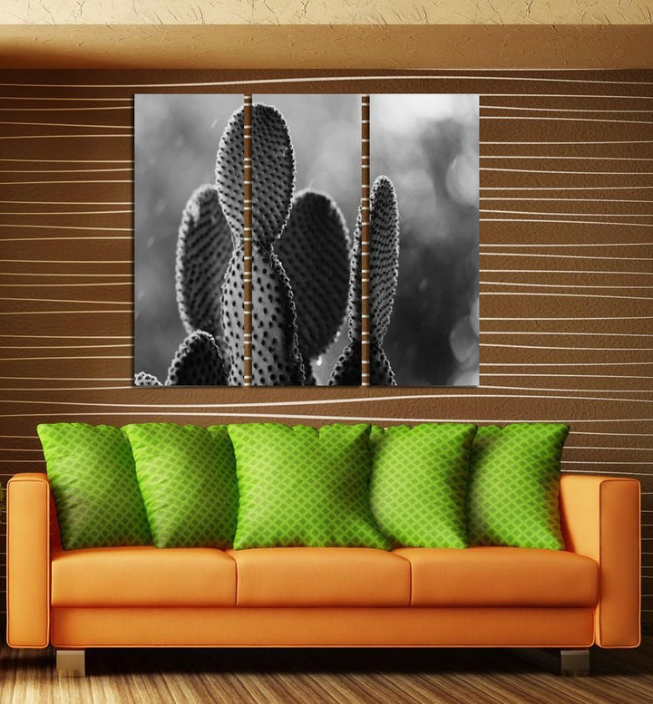 Feeby. Wandbilder - 3 Teile - Gedrucktes Bild, Foto, Kunstdrucke, Deko Panel, 3-Teilig, Foto, Typ C,