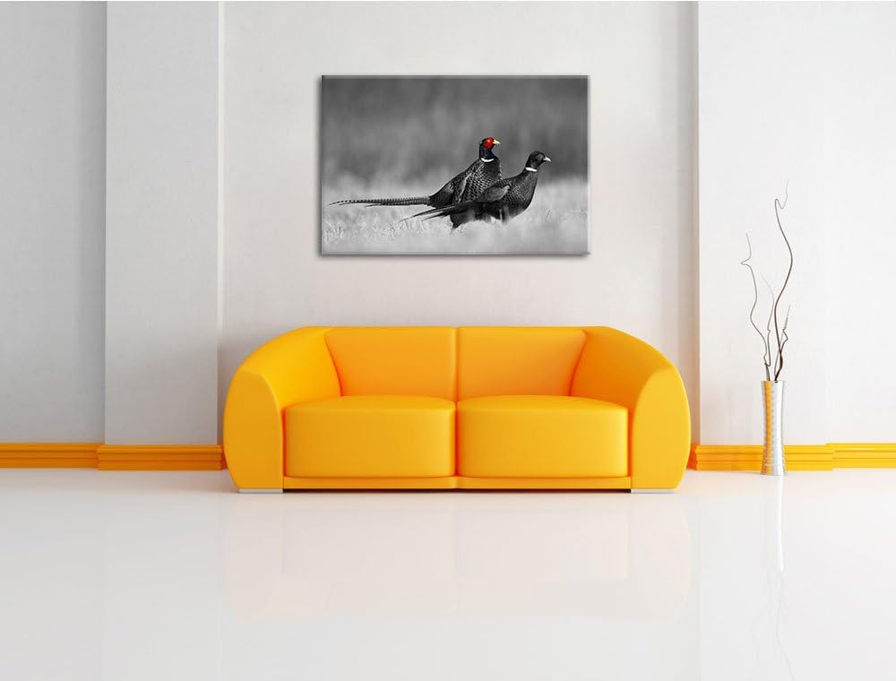 zwei Fasane auf Wiese schwarz/weiss Format: 100x70 auf Leinwand, XXL riesige Bilder fertig gerahmt m