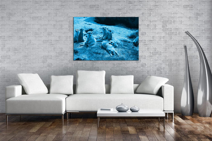 deyoli niedliche Erdmännchen Familie Format 80x60 Effekt: Monocrome Blau als Leinwandbild, Motiv fer
