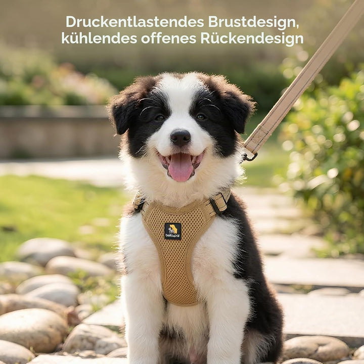 BELLA & PAL Hundegeschirr und Leine Set, Step-in Design mit atmungsaktivem Air-Mesh, reflektierenden