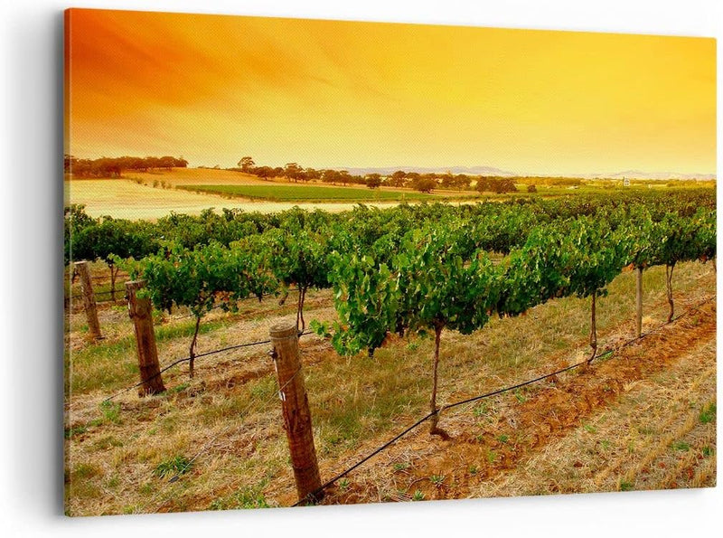 Bilder auf Leinwand 100x70cm Leinwandbild Landschaft Weinberg Sonnenuntergang Gross Wanddeko Bild Sc